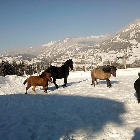 Apartamento Weidinghof Sankt Veit im Pongau Exterior foto