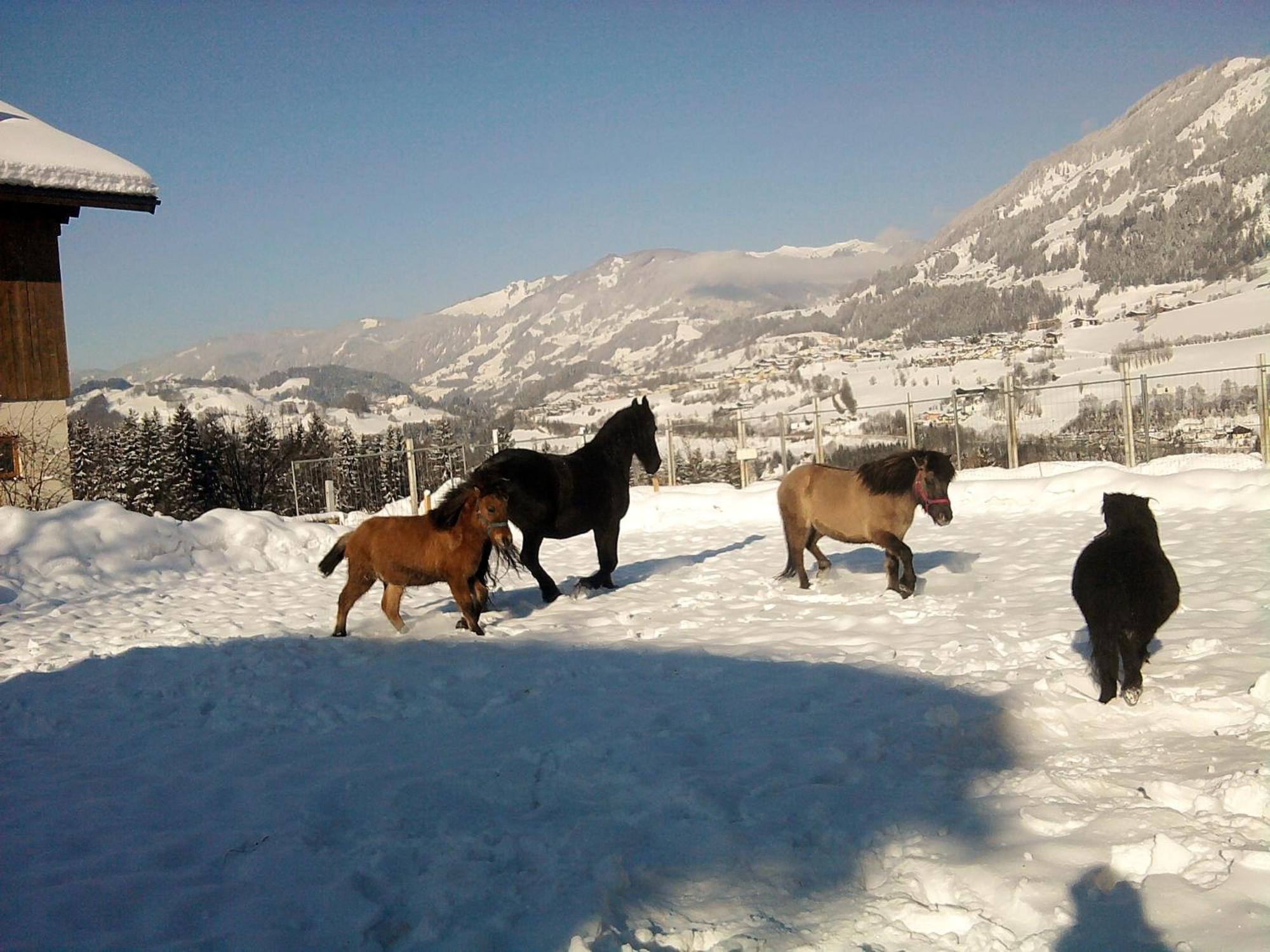 Apartamento Weidinghof Sankt Veit im Pongau Exterior foto