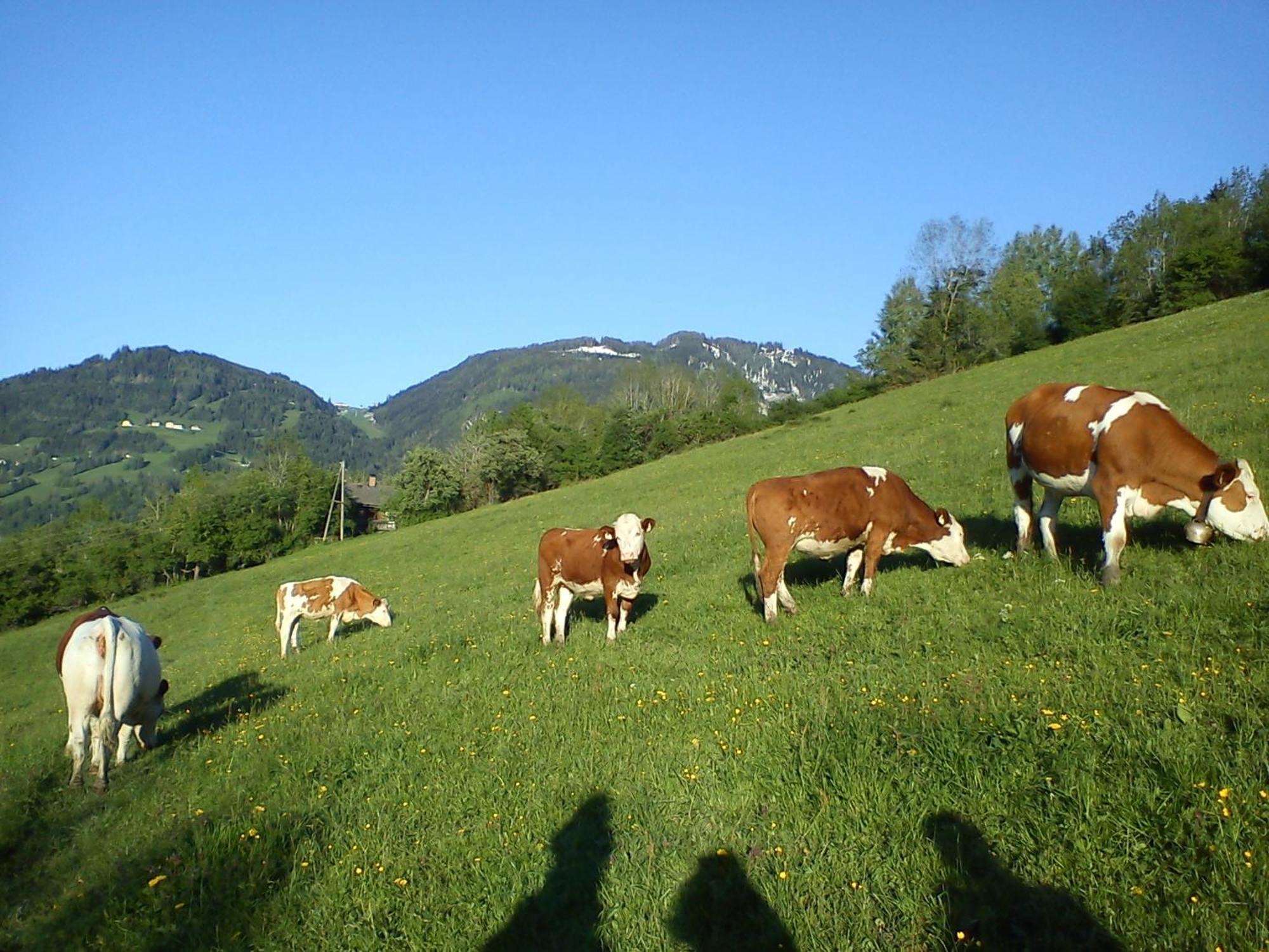 Apartamento Weidinghof Sankt Veit im Pongau Exterior foto
